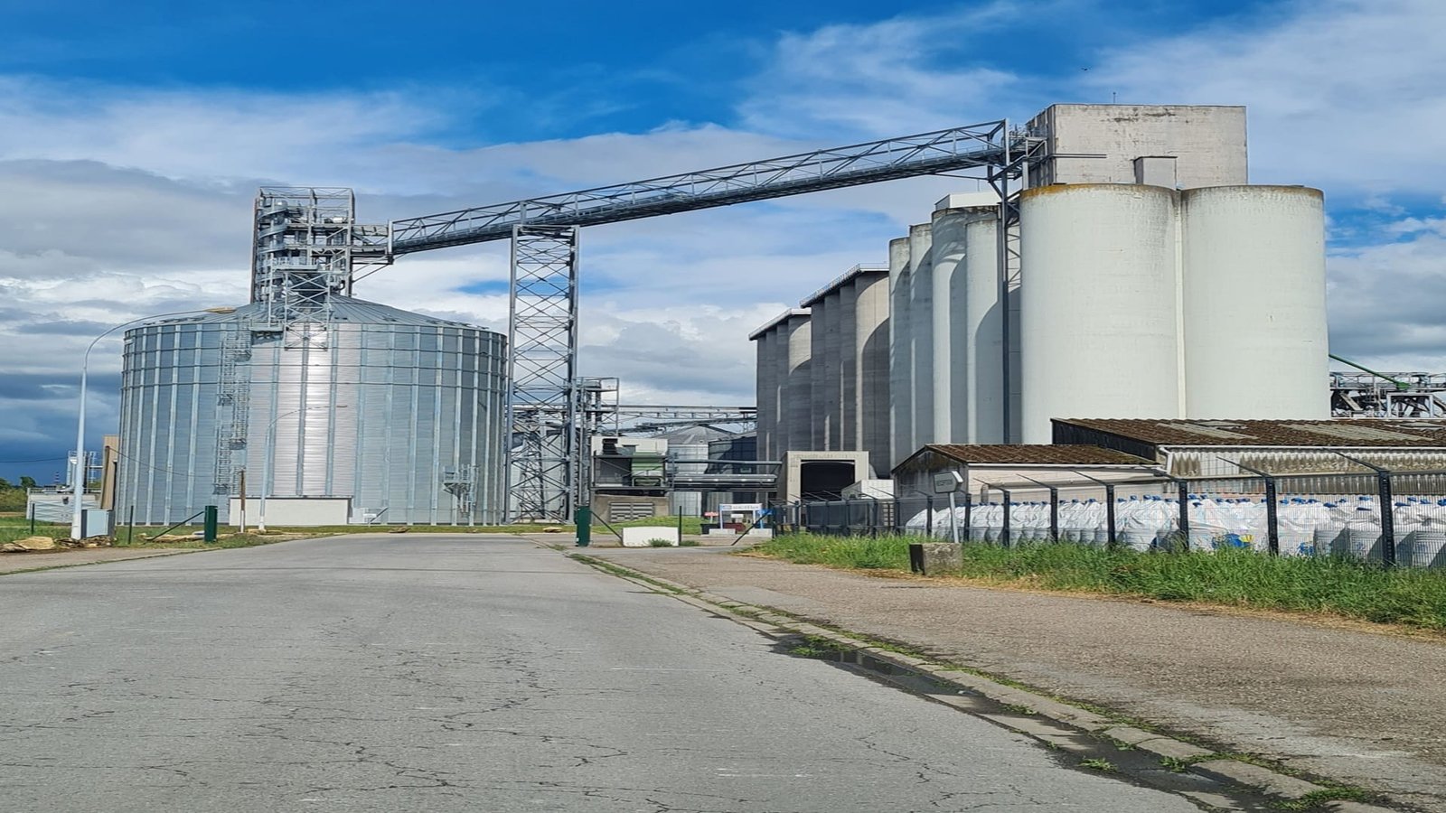 Bulk Sugar Market 2026: ICUMSA 45 & Raw Cane Export Trends
