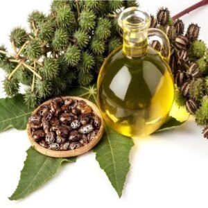 Bulk Castor Oil Supplier Export