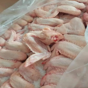 Bulk Frozen Chicken Wings Supplier Export
